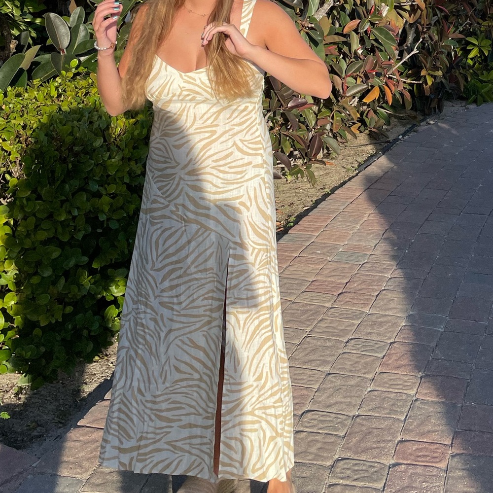 Zebra Cream and Tan Zara Maxi Dress